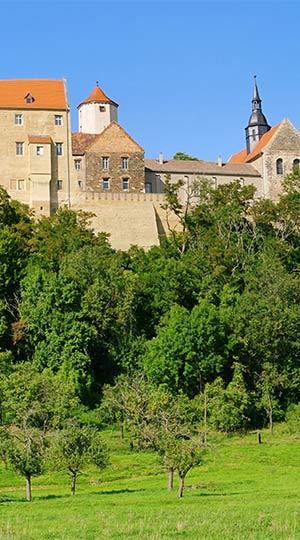 Schloss Goseck